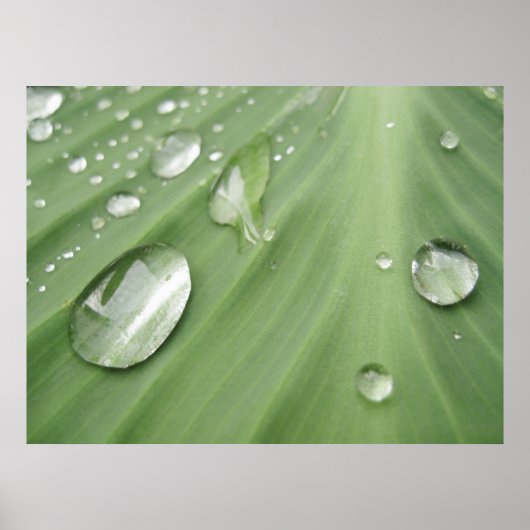 Daling door Drop Poster (Voorkant)