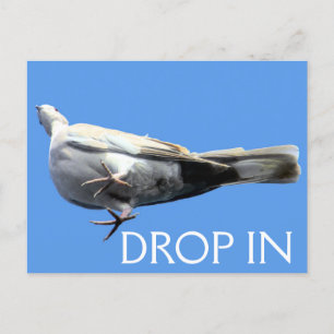Daling in Briefkaart - SRF