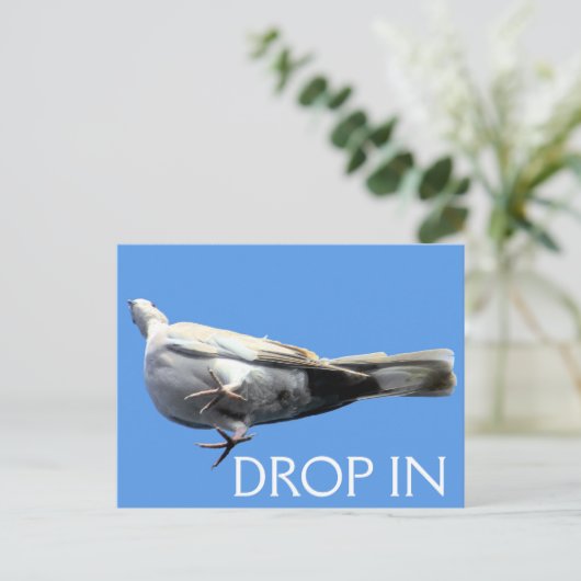 Daling in Briefkaart - SRF (Staand voorkant)