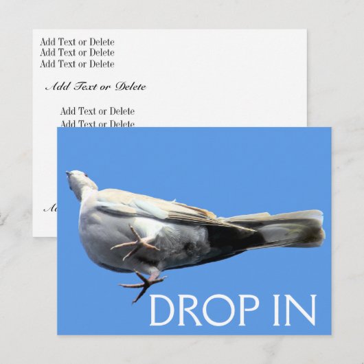 Daling in Briefkaart - SRF (Voorkant / Achterkant)