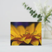 Daling of Water with Reflection of Gerbera Daisy Briefkaart (Staand voorkant)