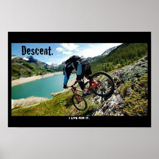 daling poster (Voorkant)