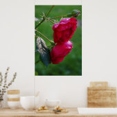 Dalingen van Regen Poster (Keuken)