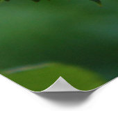 Dalingen van Regen Poster (Hoek)