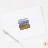 Dall-dikschaap, Ovis dalli, ram Vierkante Sticker (Envelop)