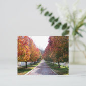 Dall Leaves in Virginia Post Card Glen Allen VA Briefkaart (Staand voorkant)