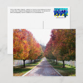 Dall Leaves in Virginia Post Card Glen Allen VA Briefkaart (Voorkant / Achterkant)