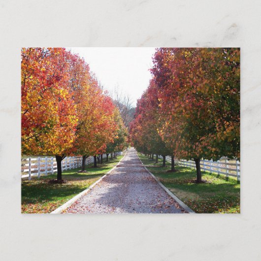 Dall Leaves in Virginia Post Card Glen Allen VA Briefkaart (Voorkant)