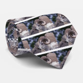 Dall schaap (grote ram) stropdas (Opgerold)