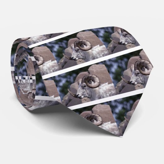 Dall schaap (grote ram) stropdas (Opgerold)