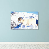 dall schaap, Ovis dalli, volle krul ram Canvas Afdruk (Insitu (Houten vloer))