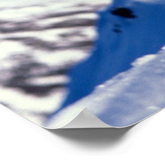 dall schaap, Ovis dalli, volledige stok op een dal Poster (Hoek)