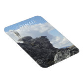 Dall-schapen op de top van Mount Wright, Denali NP Magneet (Rechterzijde)