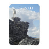 Dall-schapen op de top van Mount Wright, Denali NP Magneet (Verticaal)