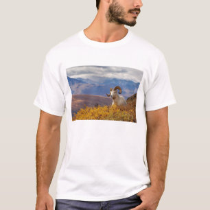 Dall-schapen, Ovis dalli, ram T-shirt