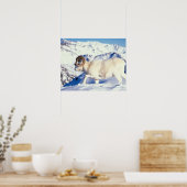 Dall-schapen, Ovis dalli, volwassen ram Poster (Keuken)