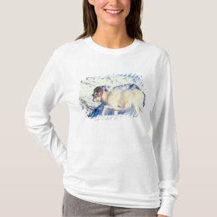 Dall-schapen, Ovis dalli, volwassen ram T-shirt
