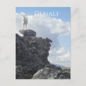 Dall Sheep Atop Mount Wright, Denali NP, Alaska Briefkaart (Voorkant)