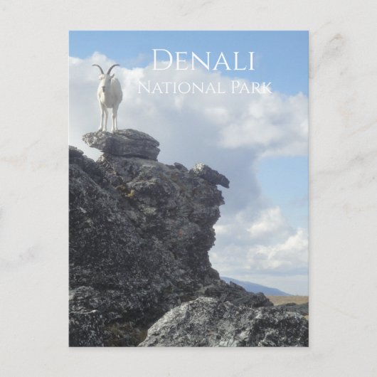 Dall Sheep Atop Mount Wright, Denali NP, Alaska Briefkaart (Voorkant)