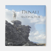 Dall Sheep Atop Mount Wright, Denali NP, Alaska Magneet (Voorkant)