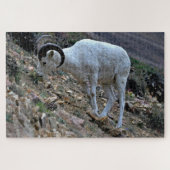 Dall Sheep op een heuvel Legpuzzel (Horizontaal)