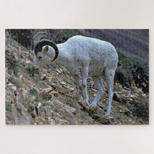 Dall Sheep op een heuvel Legpuzzel (Horizontaal)