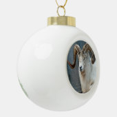 Dall Sheep Ornament (Links)