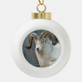 Dall Sheep Ornament (Voorkant)