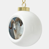 Dall Sheep Ornament (Rechts)