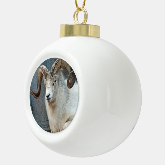 Dall Sheep Ornament (Rechts)
