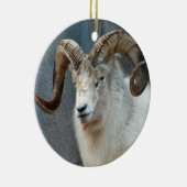 Dall Sheep Ornament (Rechts)