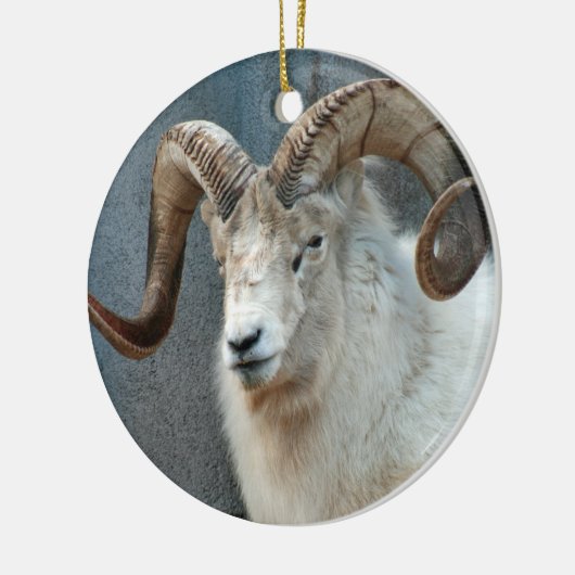 Dall Sheep Ornament (Links)