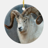 Dall Sheep Ornament (Achterkant)