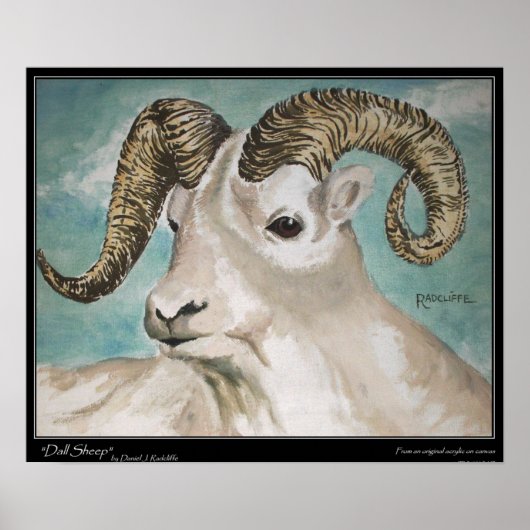 Dall Sheep Print, Waarde Poster Papier (mat) (Voorkant)