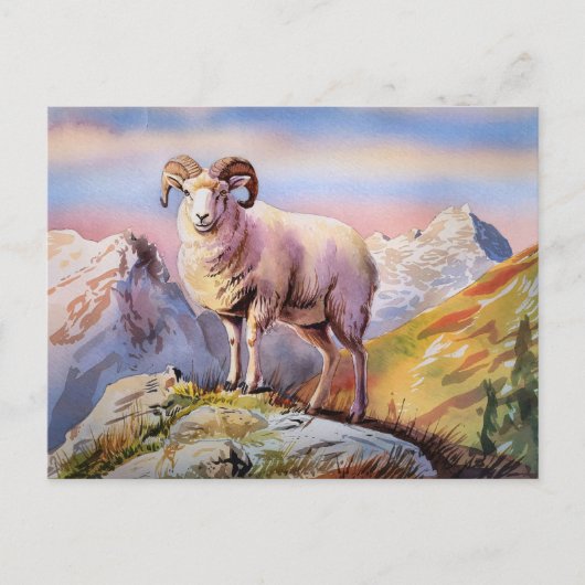 Dall Sheep Ram op een majestueuze berg Briefkaart (Voorkant)