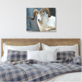 Dall Sheep Wrapped Canvas (Insitu (Slaapkamer))