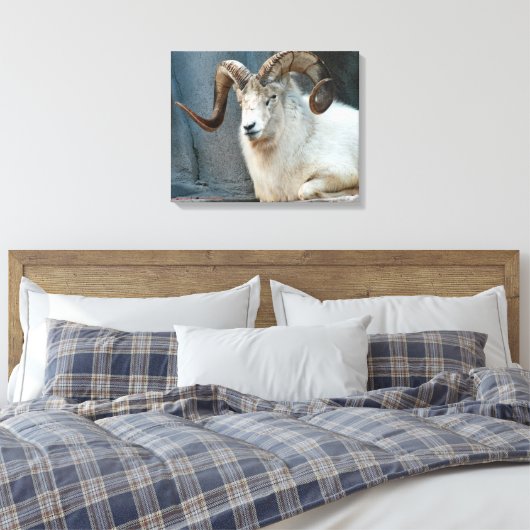 Dall Sheep Wrapped Canvas Afdruk (Insitu (Slaapkamer))