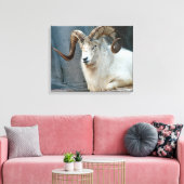 Dall Sheep Wrapped Canvas Afdruk (Insitu (Woonkamer))