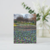 Dallas Arboretum en bloembed voor botanische tuine Briefkaart (Staand voorkant)