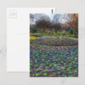 Dallas Arboretum en bloembed voor botanische tuine Briefkaart (Voorkant / Achterkant)
