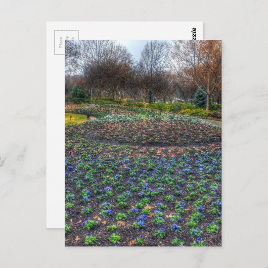Dallas Arboretum en bloembed voor botanische tuine Briefkaart (Voorkant / Achterkant)
