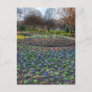 Dallas Arboretum en bloembed voor botanische tuine Briefkaart
