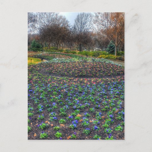 Dallas Arboretum en bloembed voor botanische tuine Briefkaart (Voorkant)