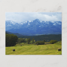 Dallas Didivision Briefkaart