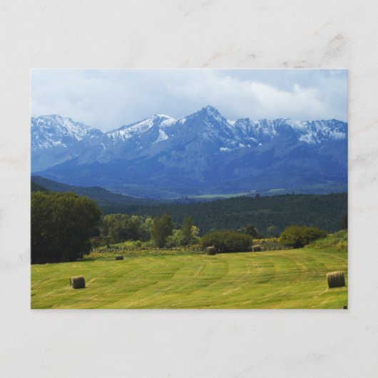 Dallas Didivision Briefkaart (Voorkant)