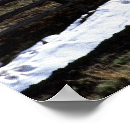 Dallas Didivision Poster (Hoek)