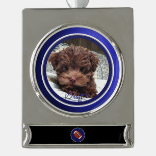 Dallas Dog Fan Aanpasbaar Verzilverd Banner Ornament