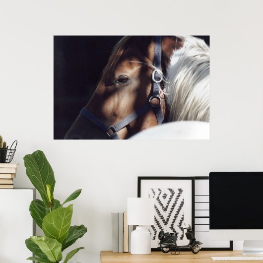 Dallas Print (Thuiskantoor)