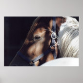 Dallas Print (Voorkant)