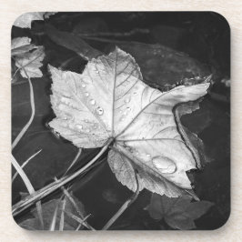 Dalle bladeren in een Pond Black en White Bier Onderzetter